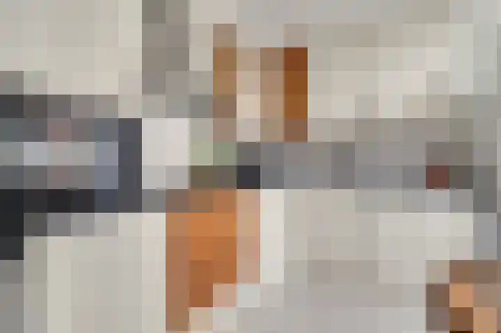 Beuldersweg 11 Nederweert thumbnail 17