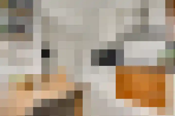 Beuldersweg 11 Nederweert thumbnail 18
