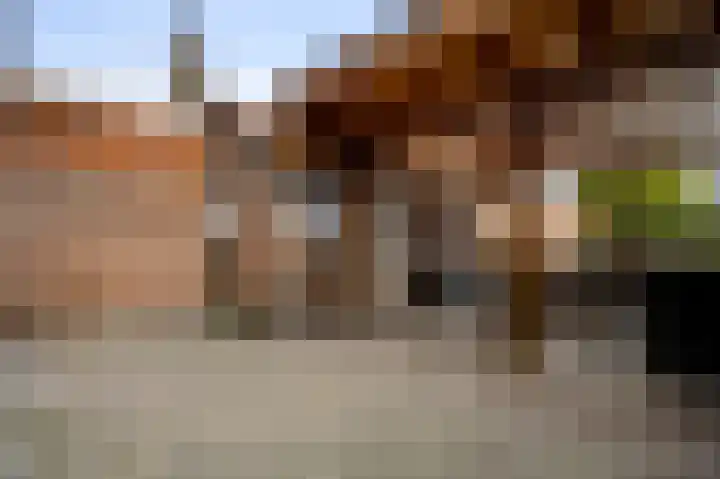 Beuldersweg 11 Nederweert thumbnail 20