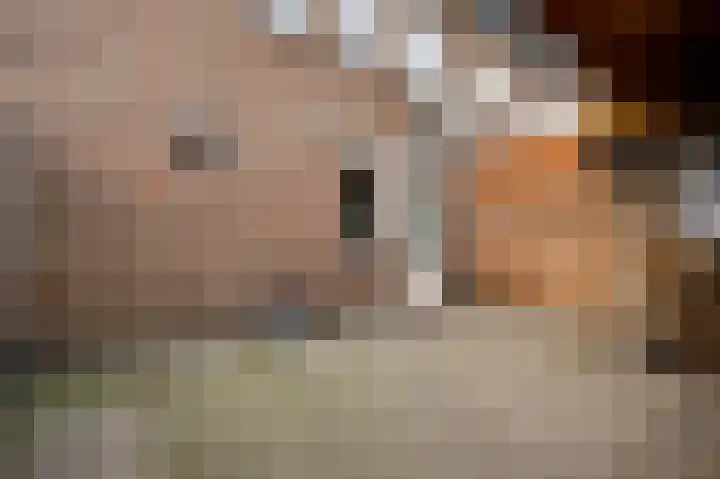 Beuldersweg 11 Nederweert thumbnail 21