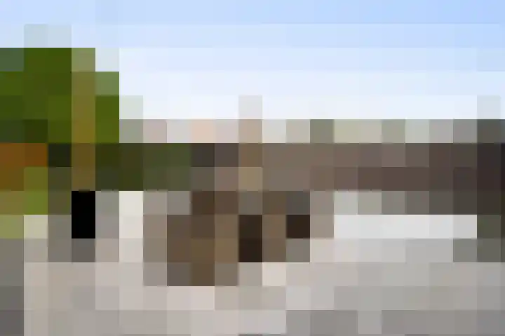 Beuldersweg 11 Nederweert thumbnail 22