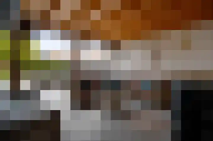 Beuldersweg 11 Nederweert thumbnail 23