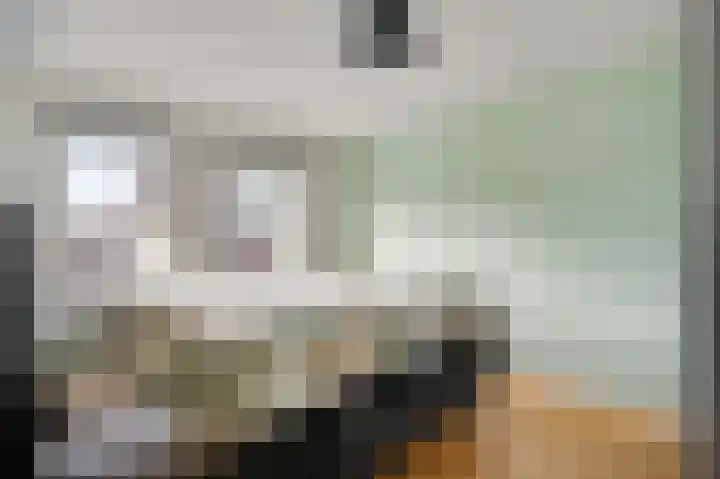 Beuldersweg 11 Nederweert thumbnail 31