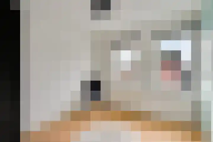 Beuldersweg 11 Nederweert thumbnail 34