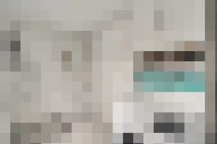 Beuldersweg 11 Nederweert thumbnail 36