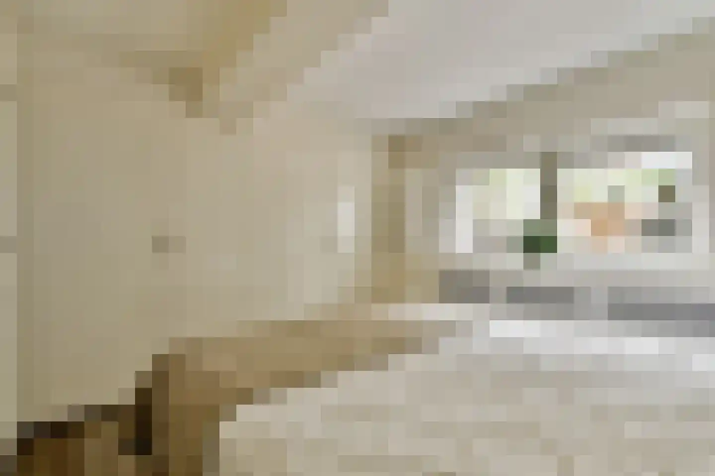 Beulingstraat 4 B Amsterdam thumbnail 31