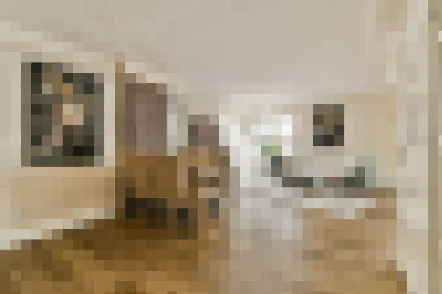 Beulingstraat 4 B Amsterdam thumbnail 6