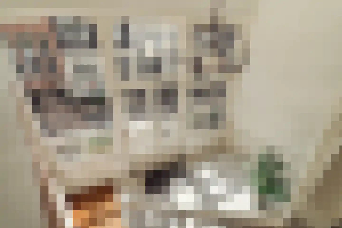 Beulingstraat 6 F Amsterdam thumbnail 5