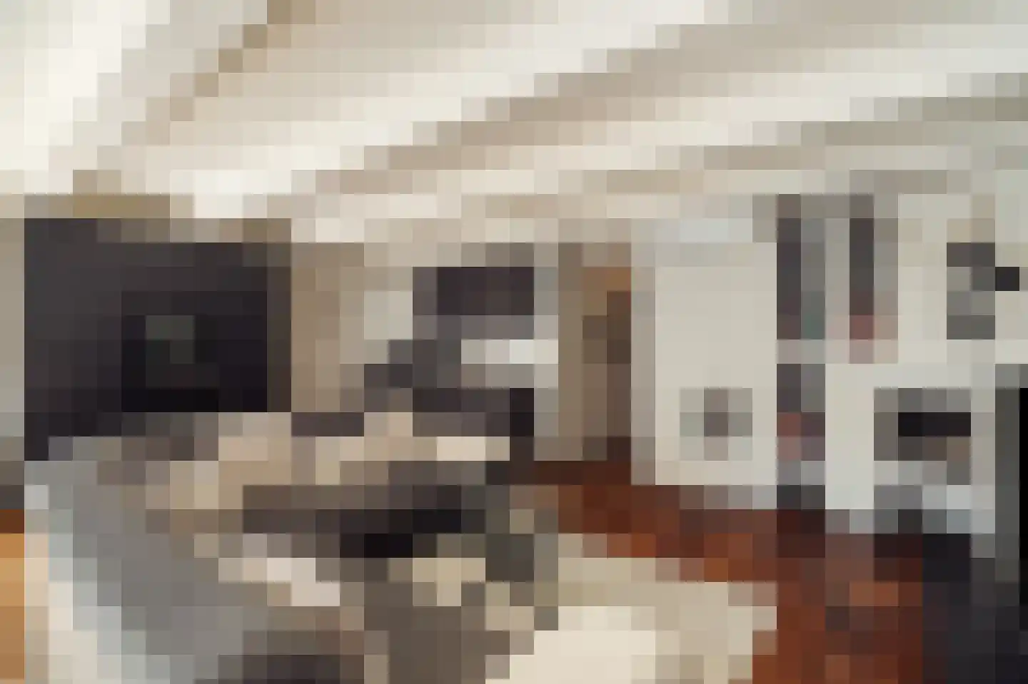 Beulingstraat 6 F Amsterdam thumbnail 6