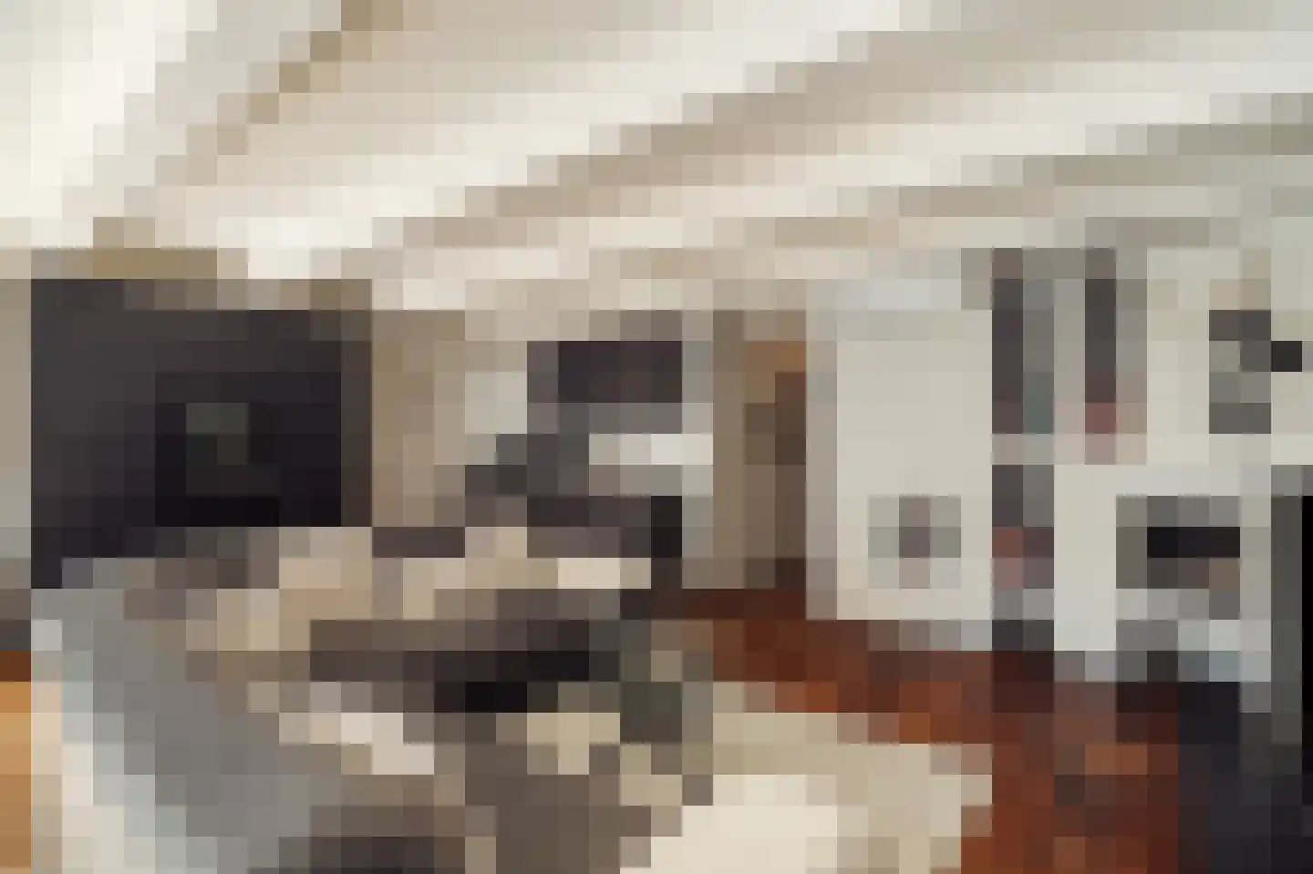 Beulingstraat 6 F Amsterdam thumbnail 8