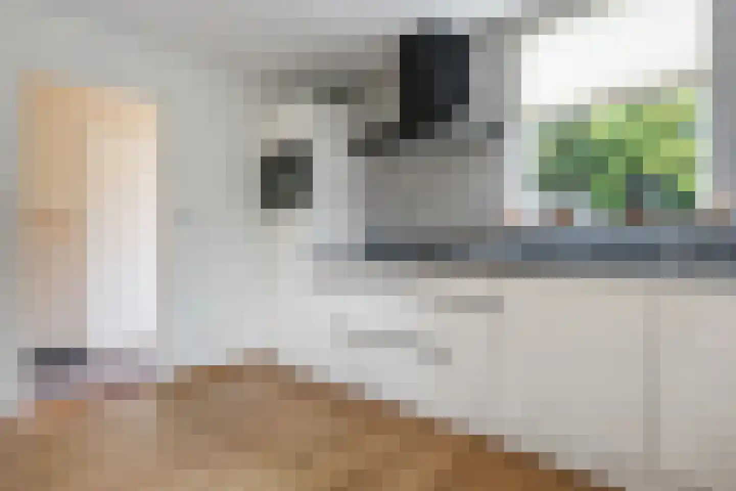 Beumeesweg 100 Alteveer thumbnail 12