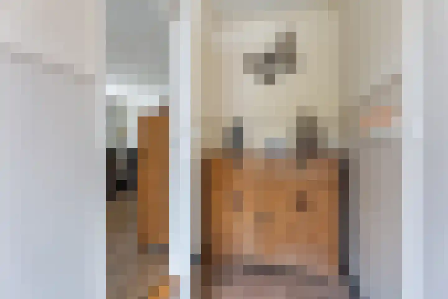 Beumeesweg 100 Alteveer thumbnail 15