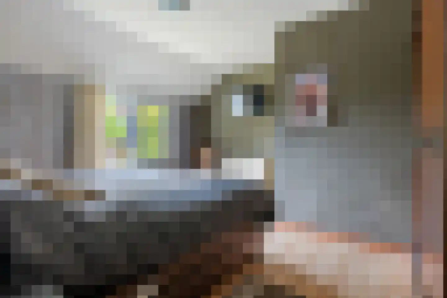 Beumeesweg 100 Alteveer thumbnail 16