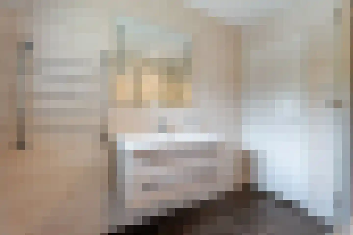 Beumeesweg 100 Alteveer thumbnail 18