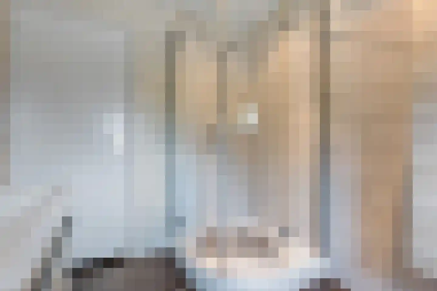 Beumeesweg 100 Alteveer thumbnail 19