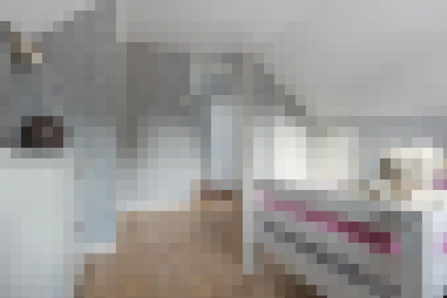 Beumeesweg 100 Alteveer thumbnail 22