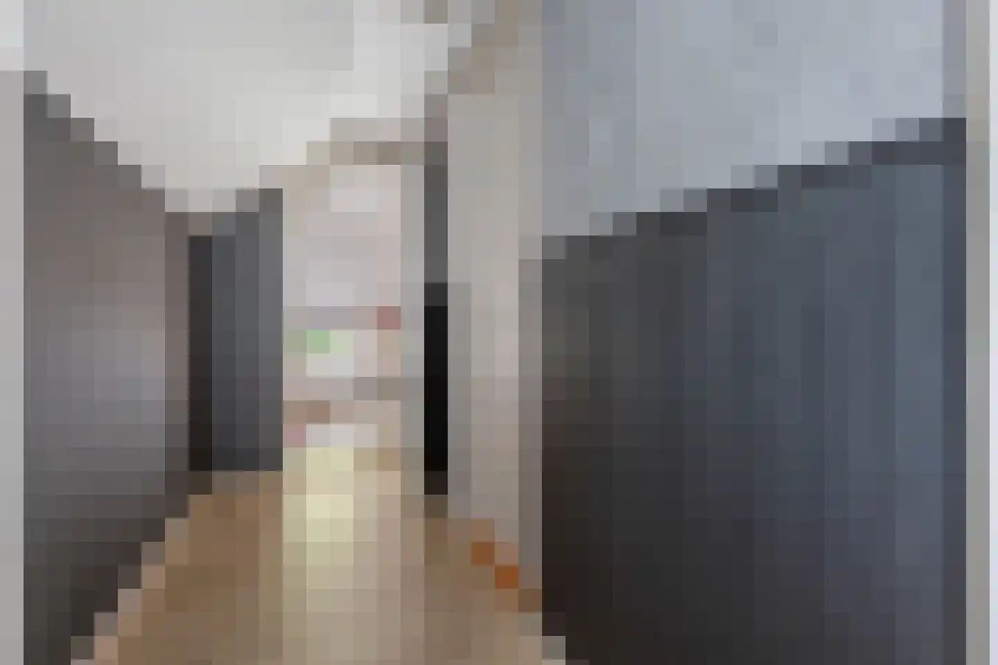 Beumeesweg 100 Alteveer thumbnail 23