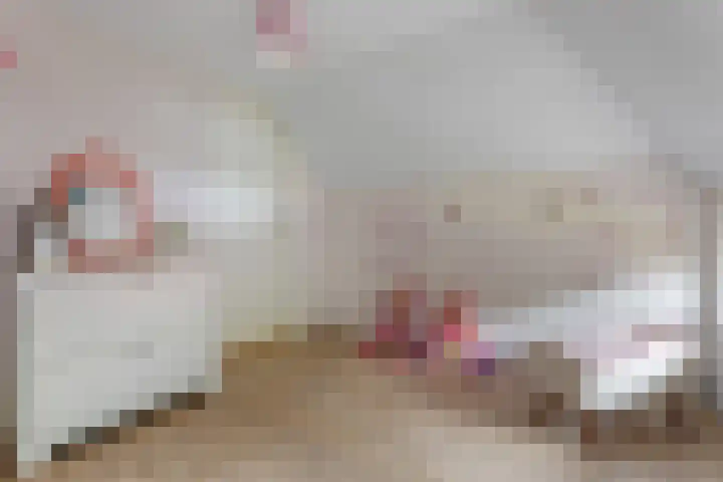 Beumeesweg 100 Alteveer thumbnail 25