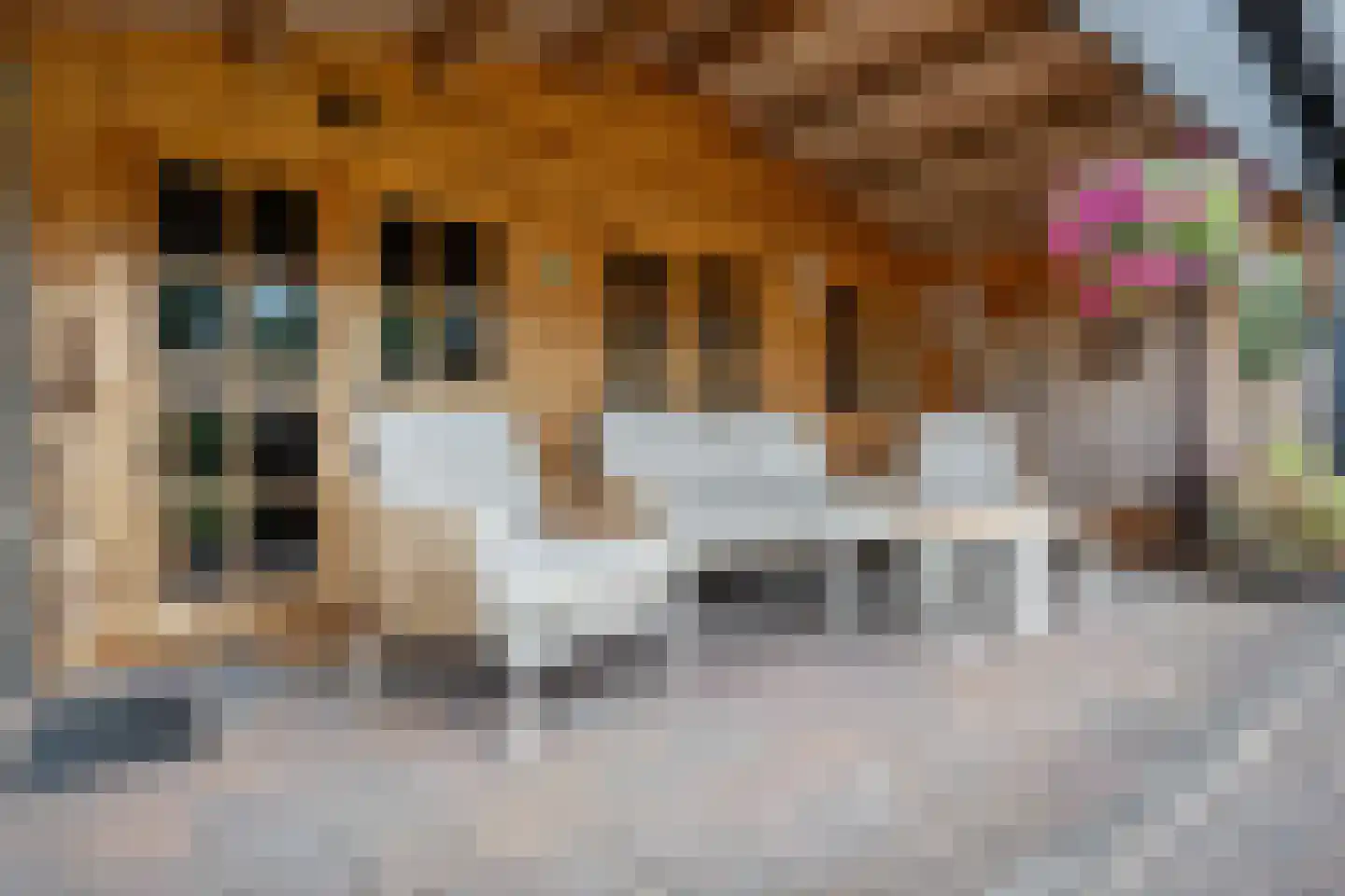 Beumeesweg 100 Alteveer thumbnail 32