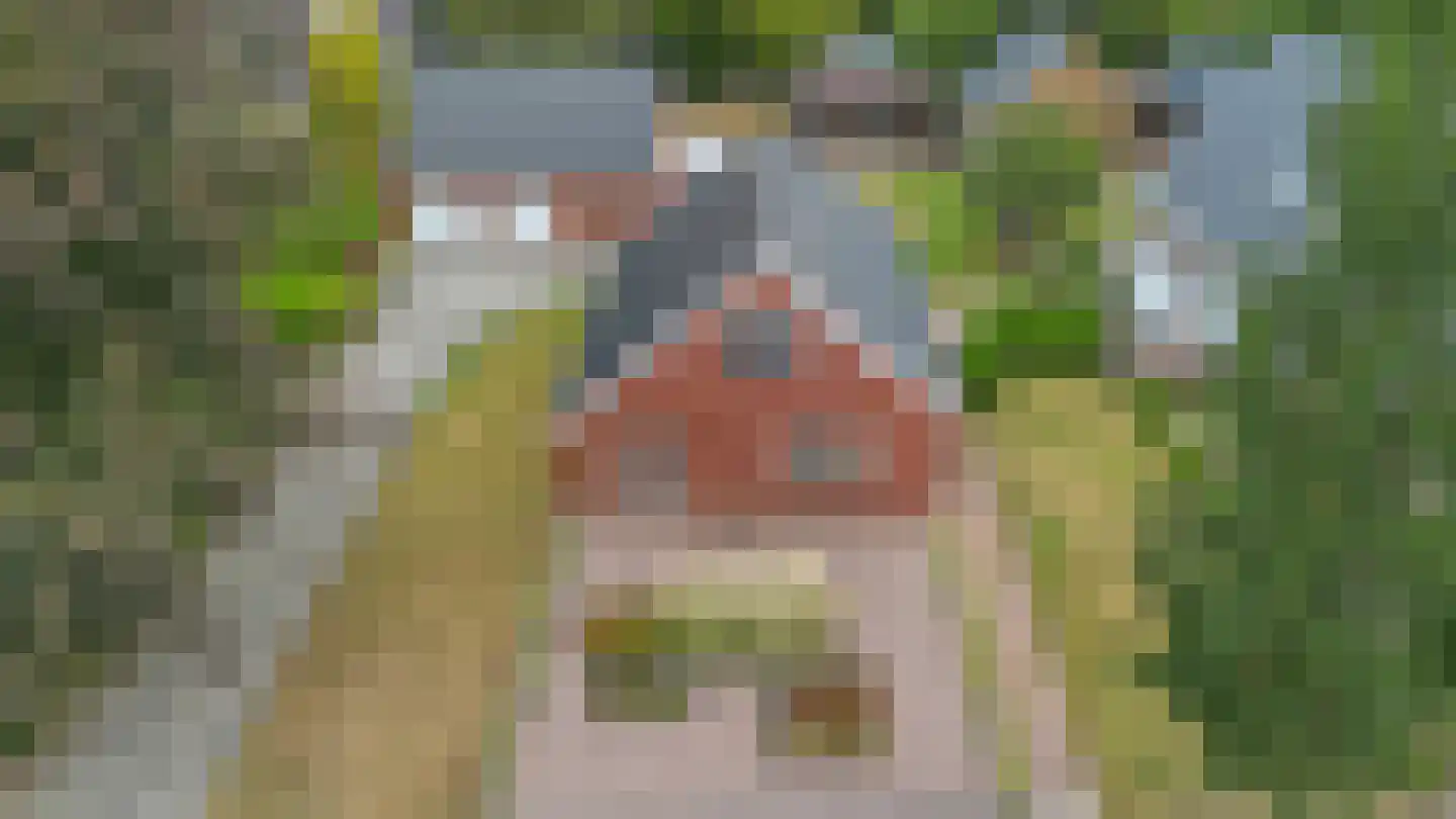 Beumeesweg 100 Alteveer thumbnail 37