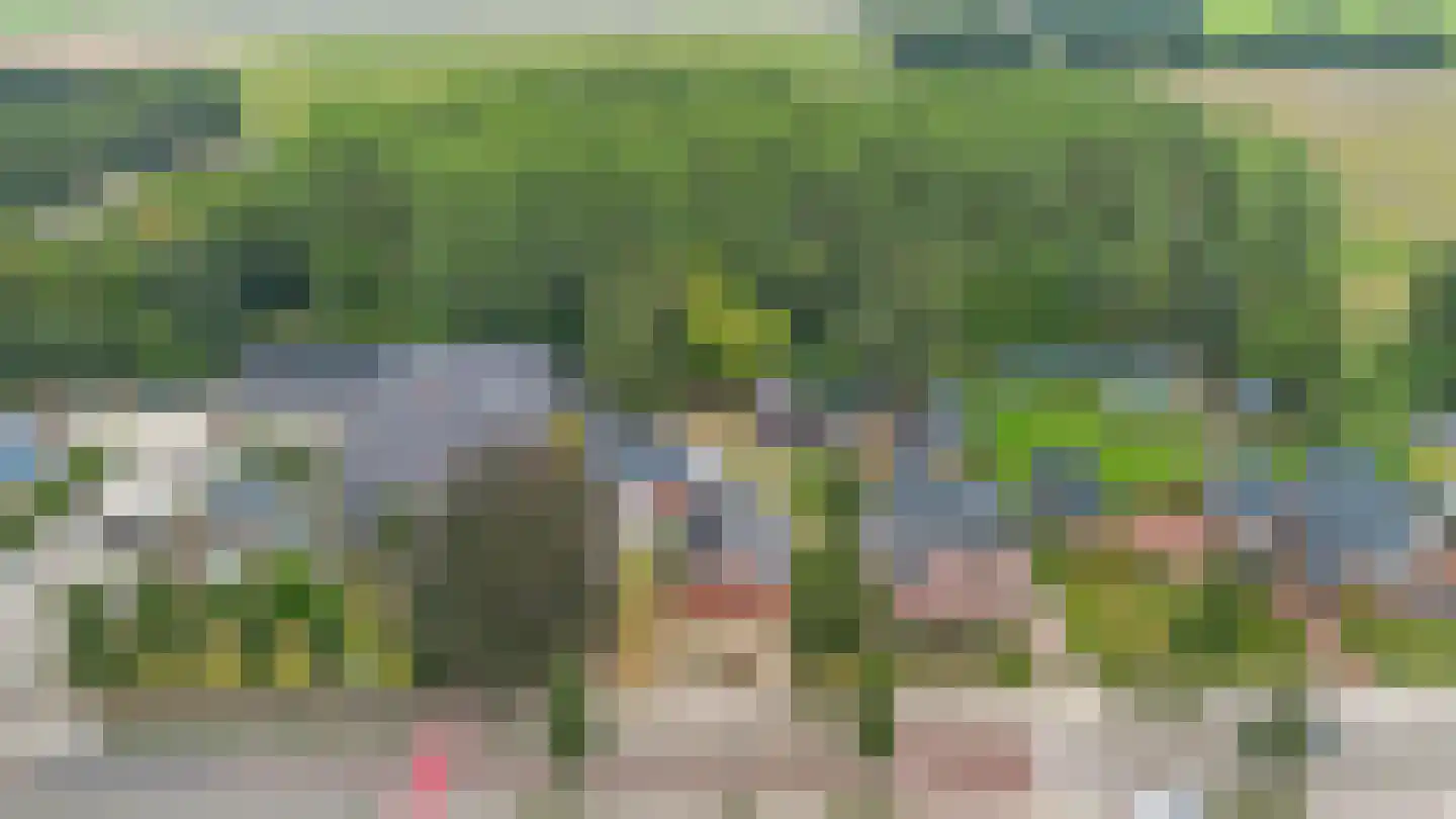 Beumeesweg 100 Alteveer thumbnail 39