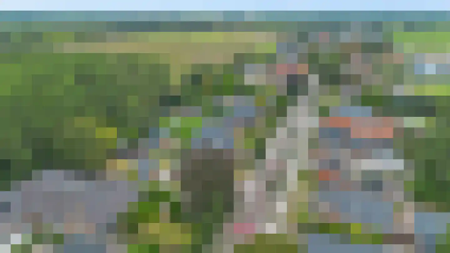 Beumeesweg 100 Alteveer thumbnail 40