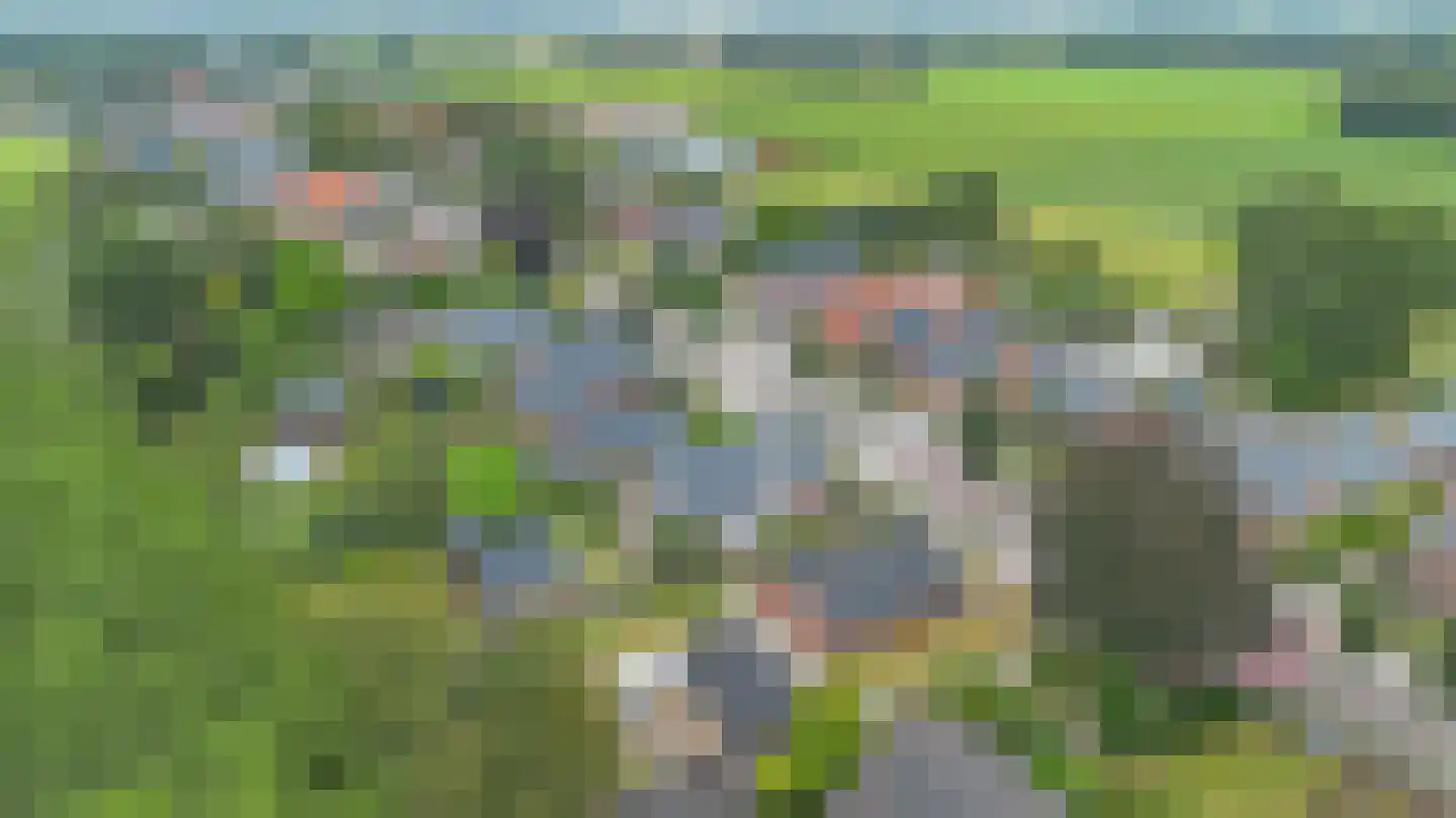 Beumeesweg 100 Alteveer thumbnail 42