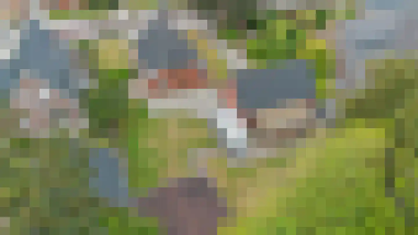 Beumeesweg 100 Alteveer thumbnail 43