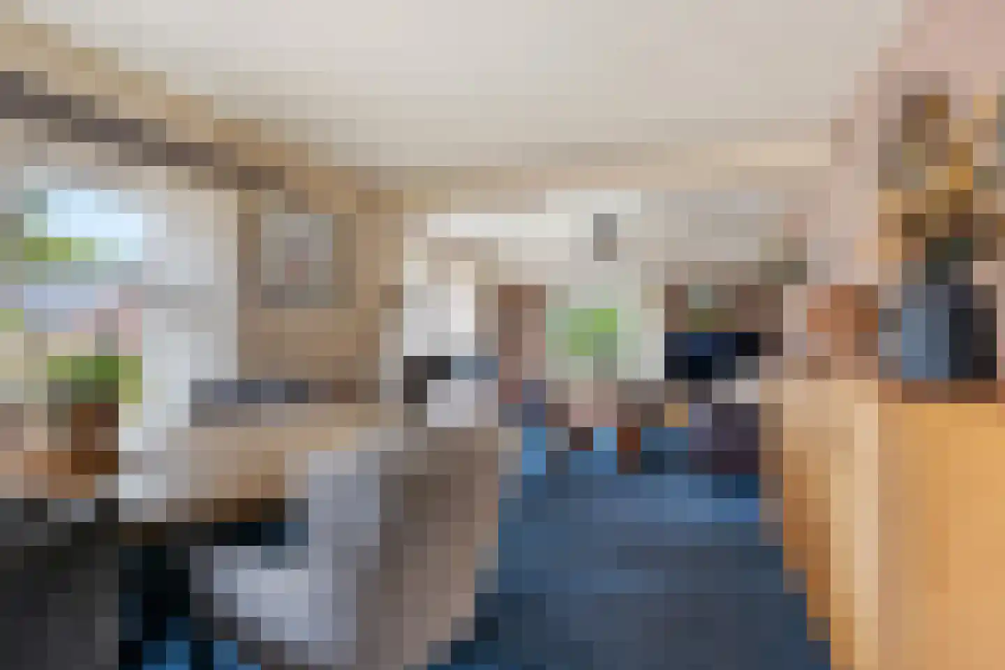 Beumeesweg 100 Alteveer thumbnail 7