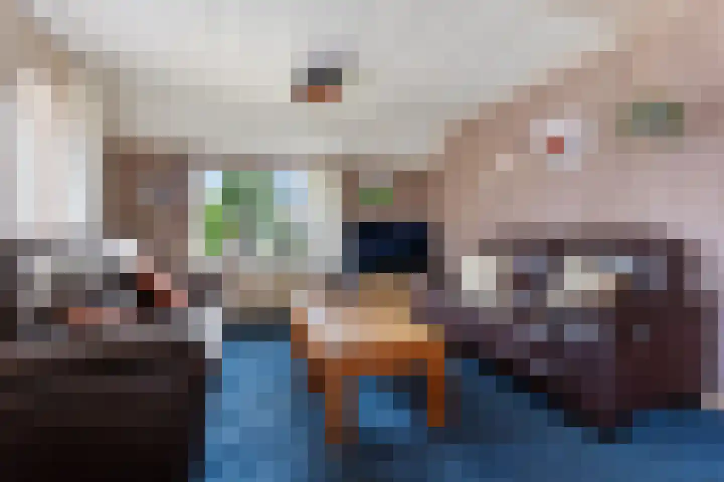 Beumeesweg 100 Alteveer thumbnail 8