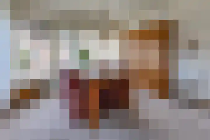Beumeesweg 111 Alteveer thumbnail 10