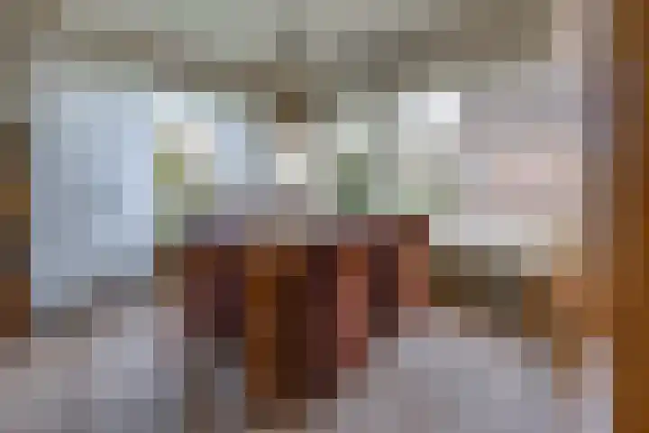 Beumeesweg 111 Alteveer thumbnail 11