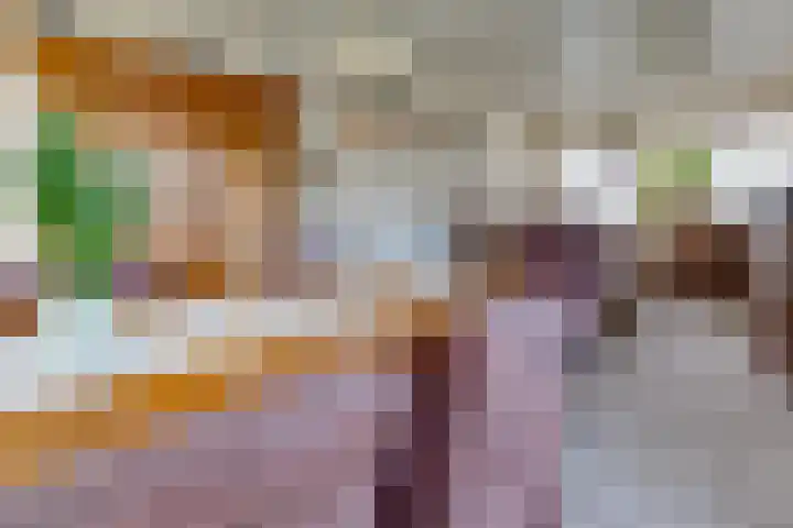 Beumeesweg 111 Alteveer thumbnail 12