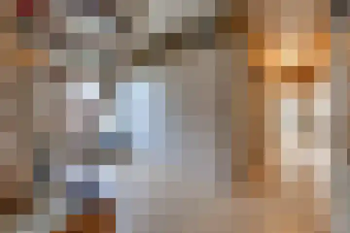 Beumeesweg 111 Alteveer thumbnail 13
