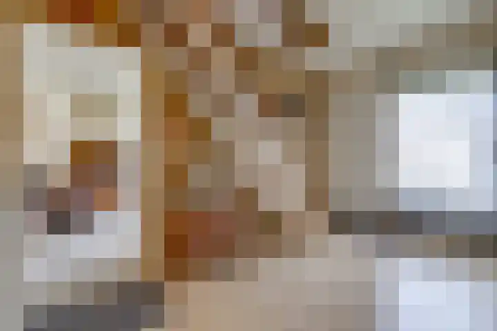 Beumeesweg 111 Alteveer thumbnail 14