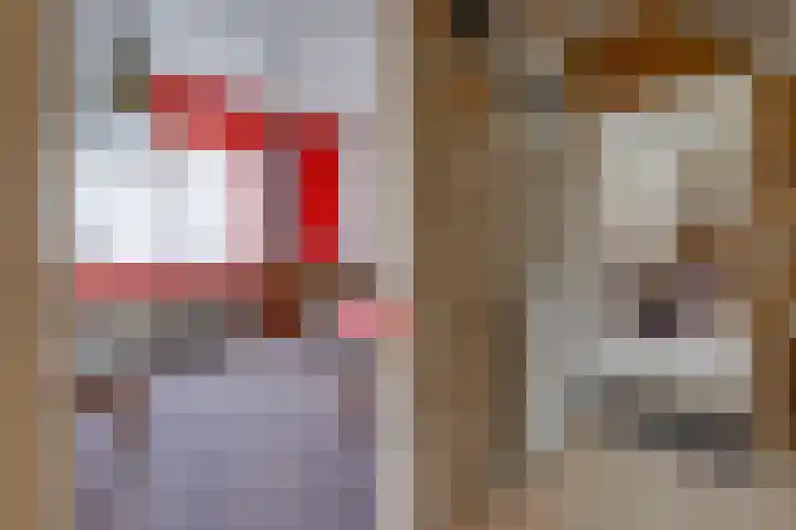 Beumeesweg 111 Alteveer thumbnail 16