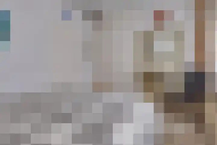 Beumeesweg 111 Alteveer thumbnail 21