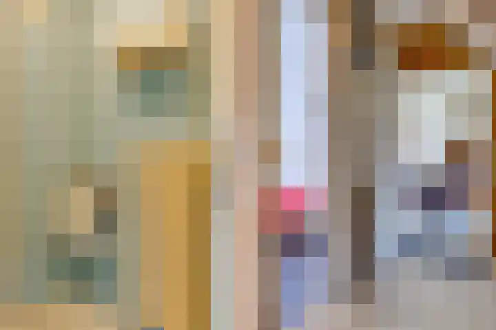 Beumeesweg 111 Alteveer thumbnail 22
