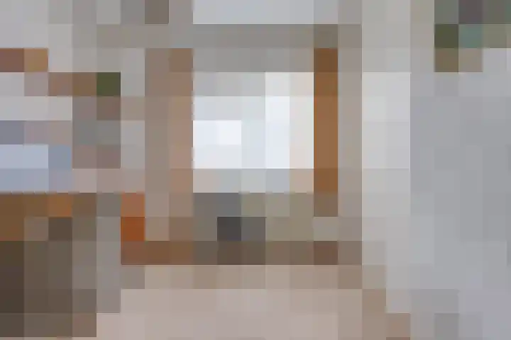 Beumeesweg 111 Alteveer thumbnail 25