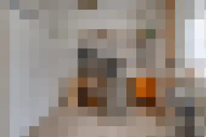 Beumeesweg 111 Alteveer thumbnail 26