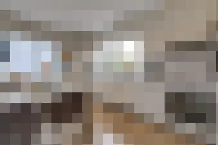 Beumeesweg 111 Alteveer thumbnail 27