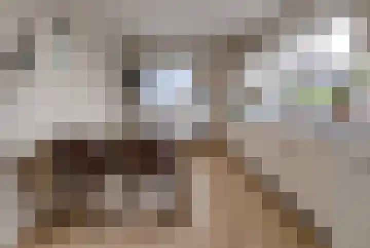 Beumeesweg 111 Alteveer thumbnail 28