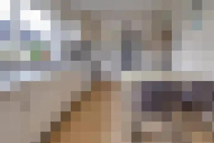 Beumeesweg 111 Alteveer thumbnail 29