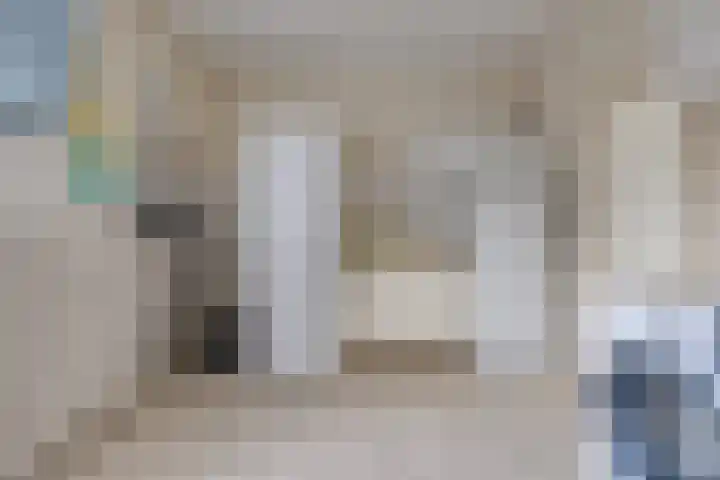 Beumeesweg 111 Alteveer thumbnail 31