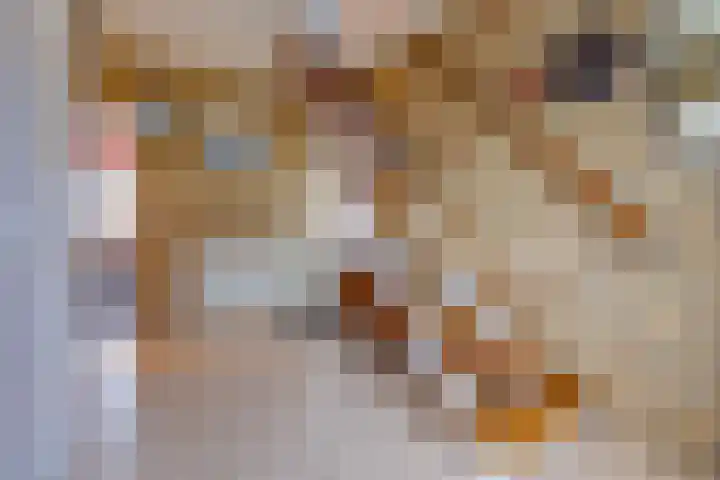 Beumeesweg 111 Alteveer thumbnail 32