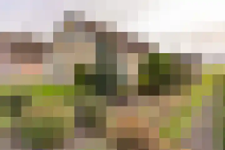 Beumeesweg 111 Alteveer thumbnail 4