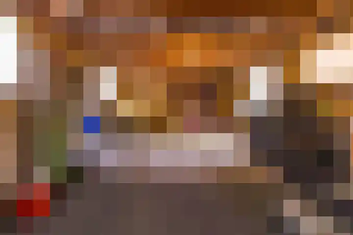 Beumeesweg 111 Alteveer thumbnail 41