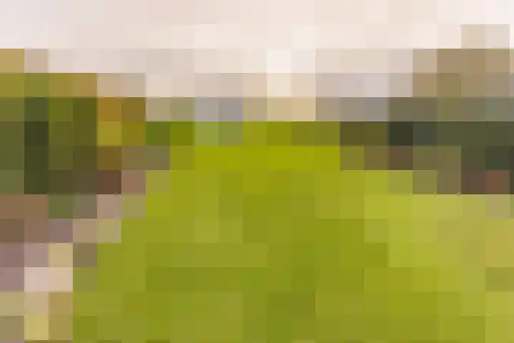Beumeesweg 111 Alteveer thumbnail 44