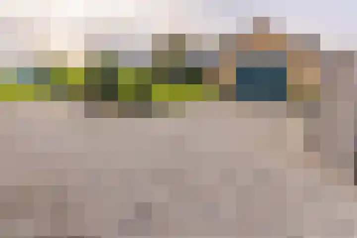 Beumeesweg 111 Alteveer thumbnail 45