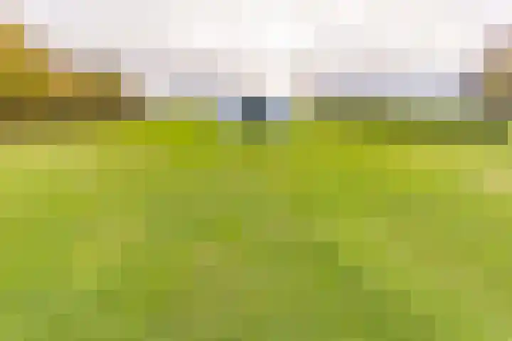 Beumeesweg 111 Alteveer thumbnail 47